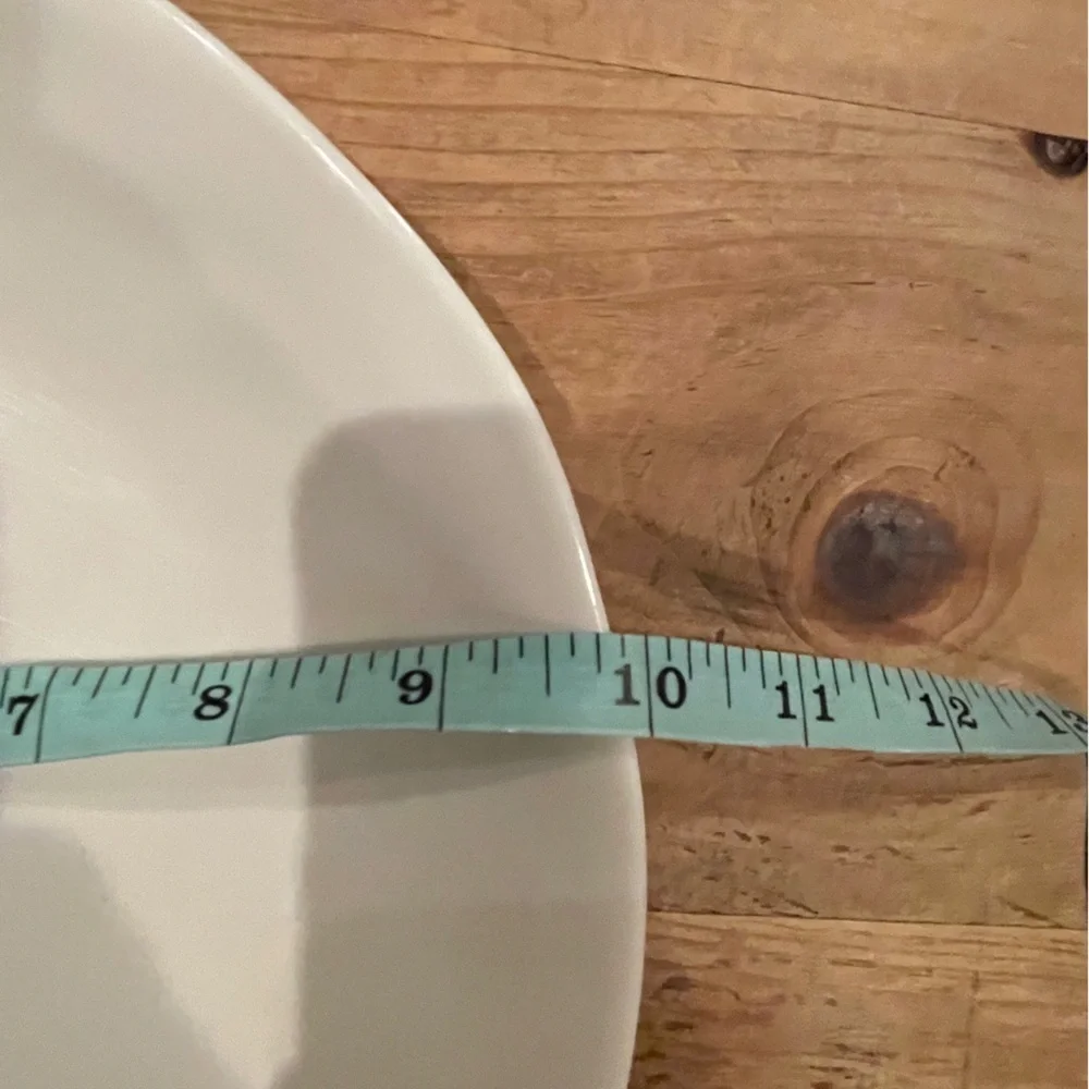 Rae Dunn Black White “Dine” wavy plates set of 2 10” Classic Sustainable